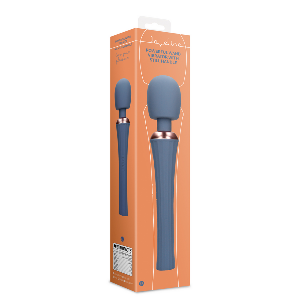 Krachtige wand vibrator met stevig handvat